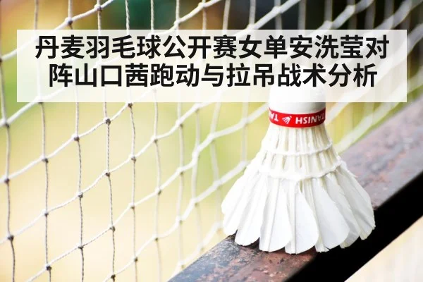 badminton shuttlecock net